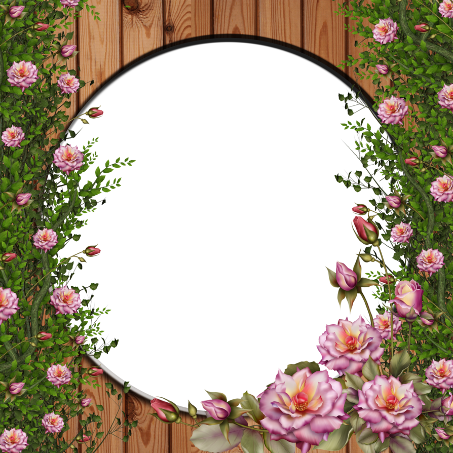 Png Rose By Collect - Rose Flower Frames Png (894x894), Png Download