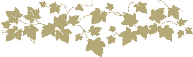 Floral Vines Png - Norwall Wallcoverings Cherry Leafs Wallpaper Border (622x198), Png Download