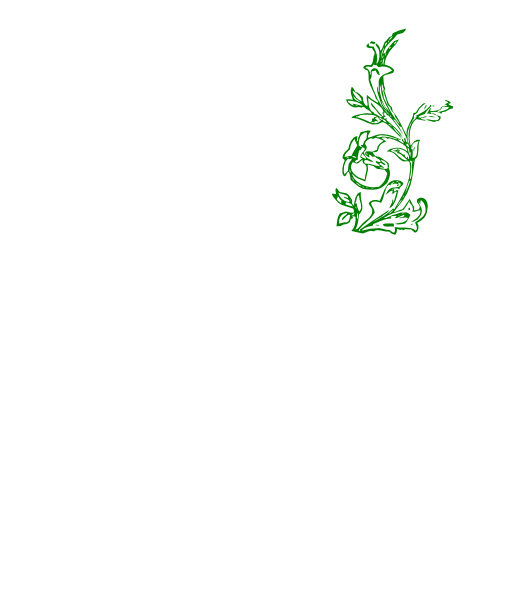 How To Set Use Flower Vine T Clipart (558x598), Png Download