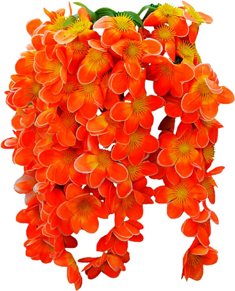 Png Images Of Tropical Flower Vines - Drawing (809x987), Png Download