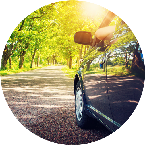 Car Driving Down Tree Lined Road Roundel - Car (563x563), Png Download
