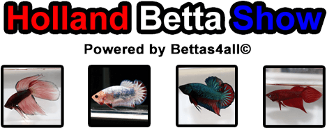 Holland Betta Show - Chore Boy (700x199), Png Download