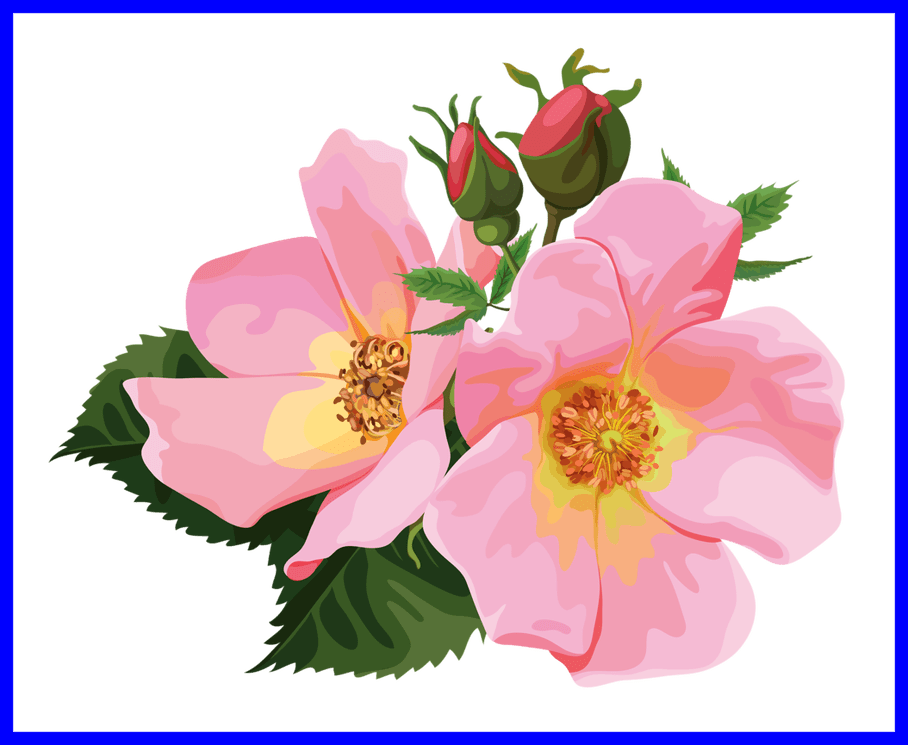 Shocking Png Flower Art - Floral Clipart Transparent (908x745), Png Download