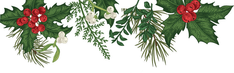 Christmas Greenery Png Picture Royalty Free Stock - First Sunday After Christmas 2017 (800x251), Png Download