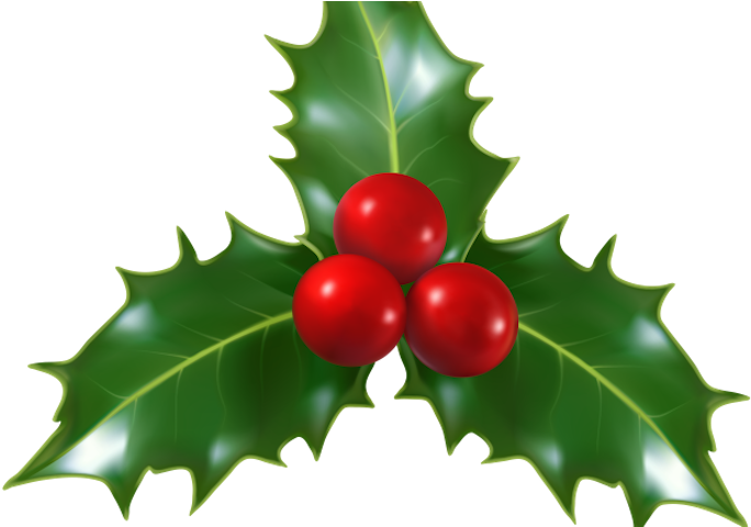 Winter In The Garden Holiday Festival Is A Seasonal - Christmas Holly (700x479), Png Download