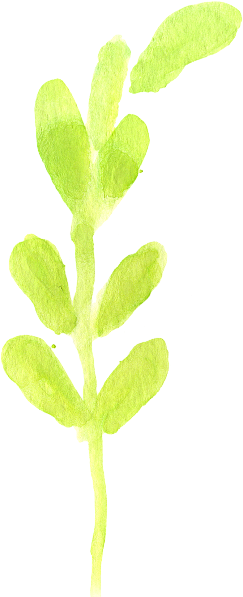 1 2 - Watercolor Painting (906x1986), Png Download