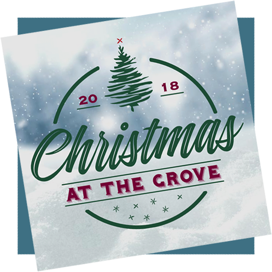 Christmas-promo - Christmas Day (555x555), Png Download