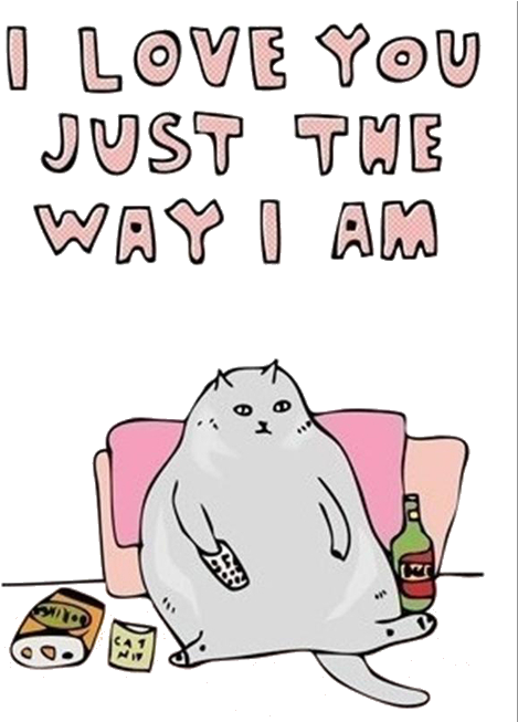 My Edit Cats Transparent Fat Cat Source Needed - Love You Just The Way I Am (500x652), Png Download