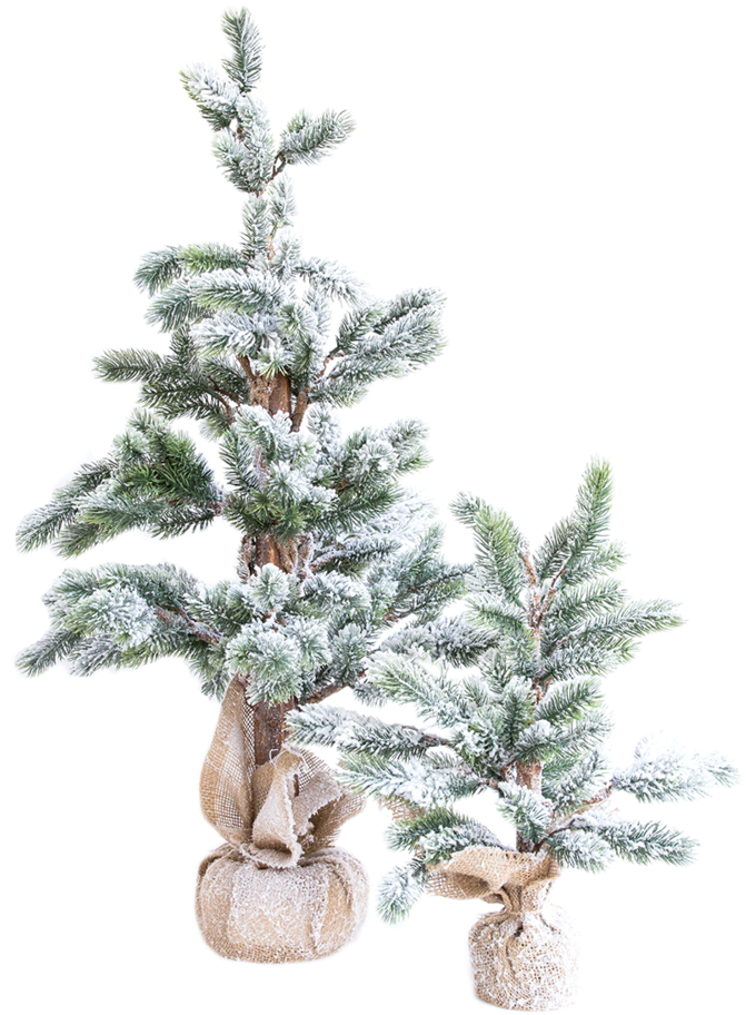 Faux Snowy Pine Tree 2 - Pine (1000x1000), Png Download