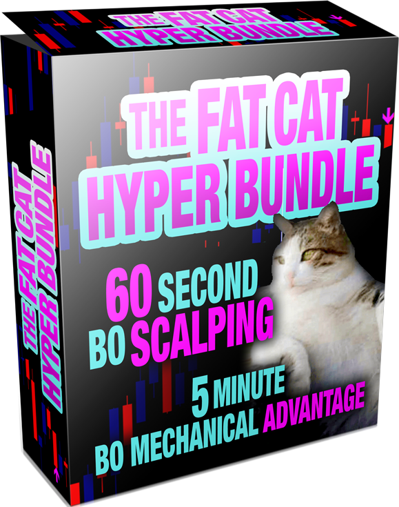 Get The Fat Cat Hyper Bundle Now, And See For Yourself, - Asian (579x735), Png Download