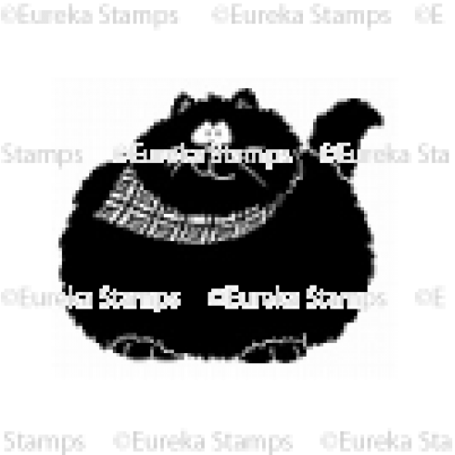 Cat (500x500), Png Download