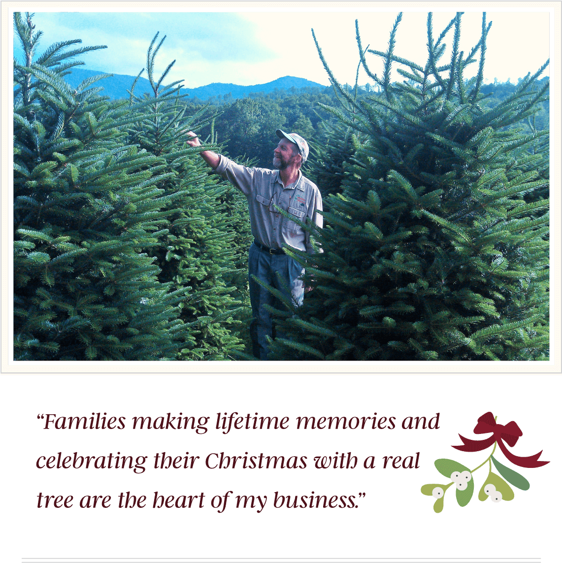 Aboutjoe - Mistletoe Meadows (1140x1170), Png Download