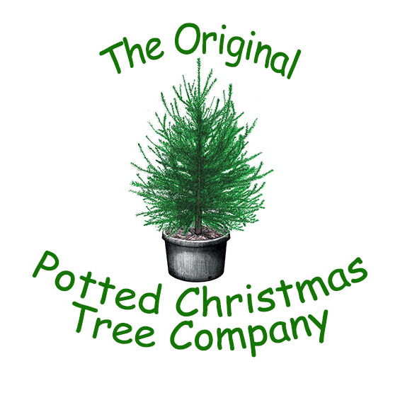 The Original Potted Christmas Tree Company - Paws4critters We Woof You A Square Sticker 3" X 3" (584x582), Png Download