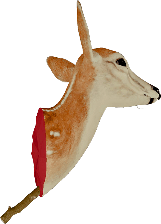 Wiki (750x750), Png Download