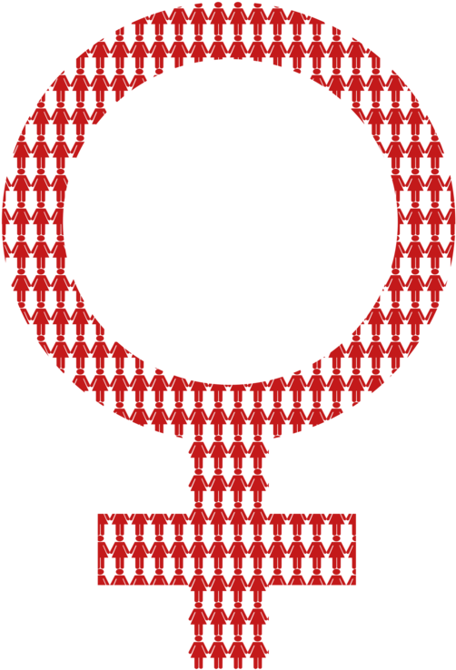 Gender Symbol Female Gender Equality - Show Equality (530x750), Png Download