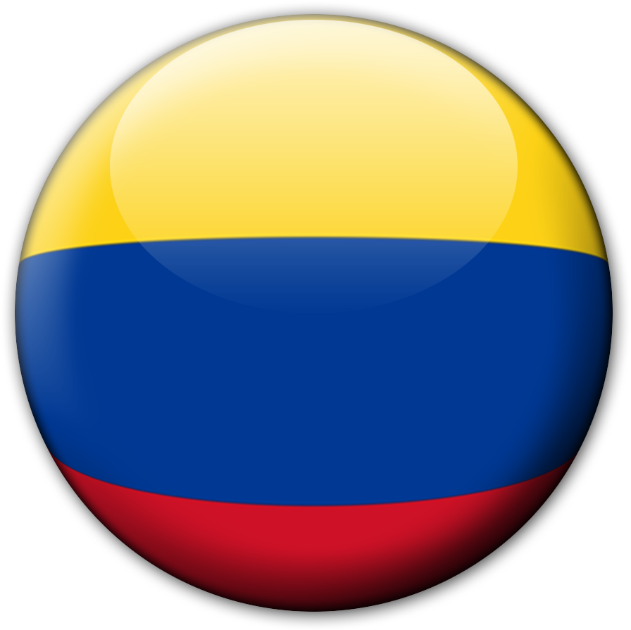 20160419190706 658 - Bandera De Colombia Png Hd (1000x900), Png Download