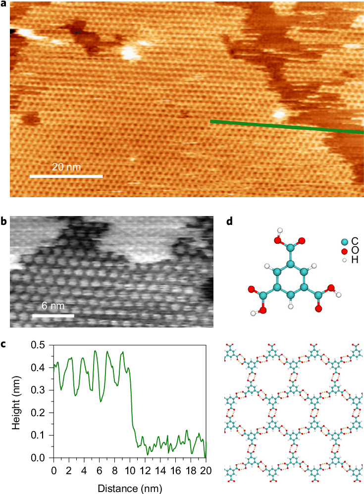 Heterostructures Of Cam And Tma - Colorfulness (735x1004), Png Download