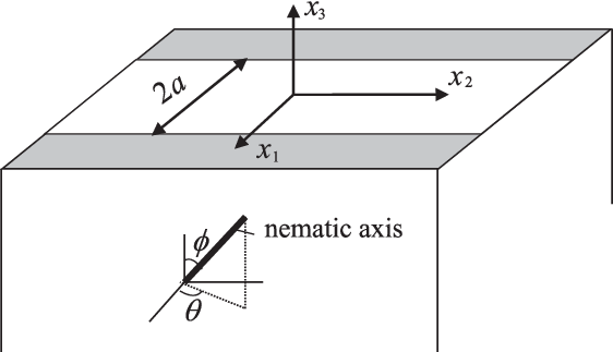 Sketch Of The Nematic Elastomer Under Striped Illumination - Diagram (562x323), Png Download