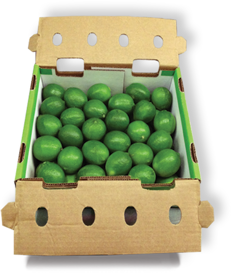 Limes - Pony Box - Limes In Boxes (900x575), Png Download