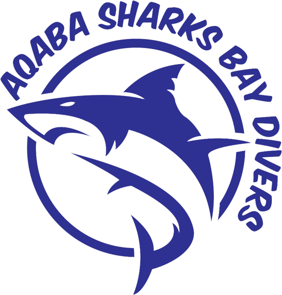 Emblem (617x630), Png Download