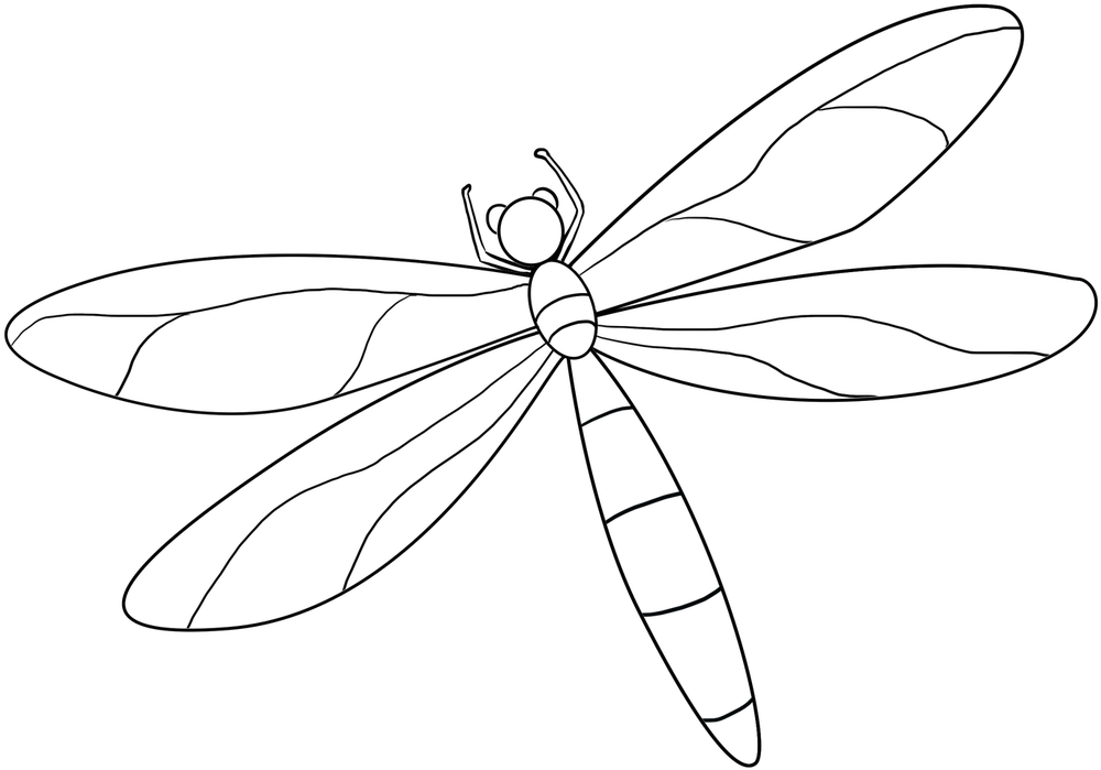 Dragonfly Drawing Basic - Dragonfly (1024x1449), Png Download