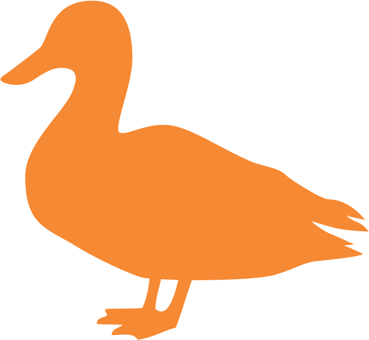 Our Gift Cards Are Valid At Our Family Of Restaurants - Duck (800x700), Png Download