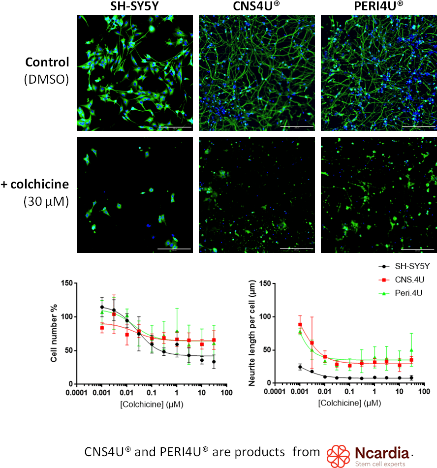 Example Of Colchicine - Diagram (911x966), Png Download