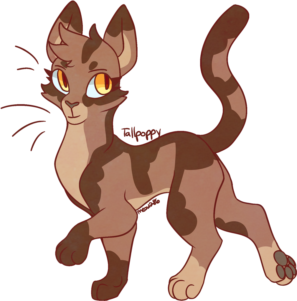 Tallpoppy - Warrior Cats Tallpoppy (1280x1280), Png Download