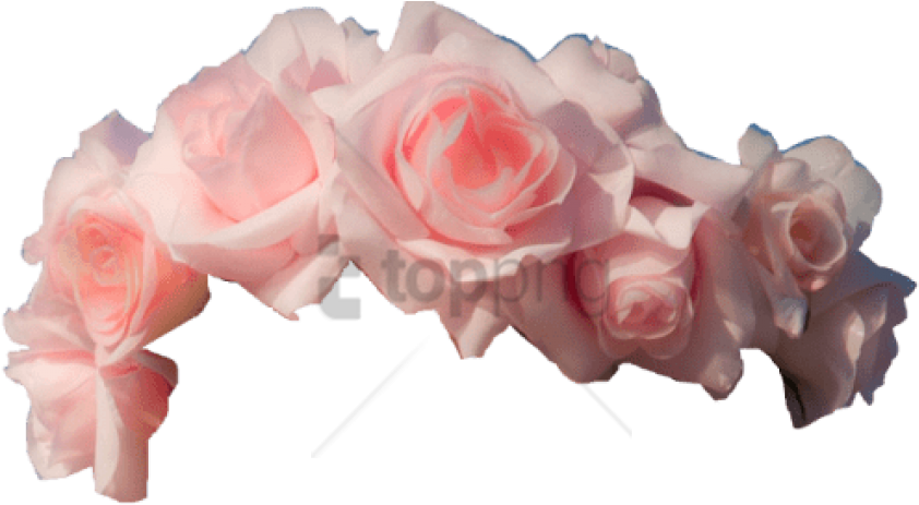Free Png Transparent Flower Crown Png Png Image With - Pink Flower Crown Transparent (850x531), Png Download