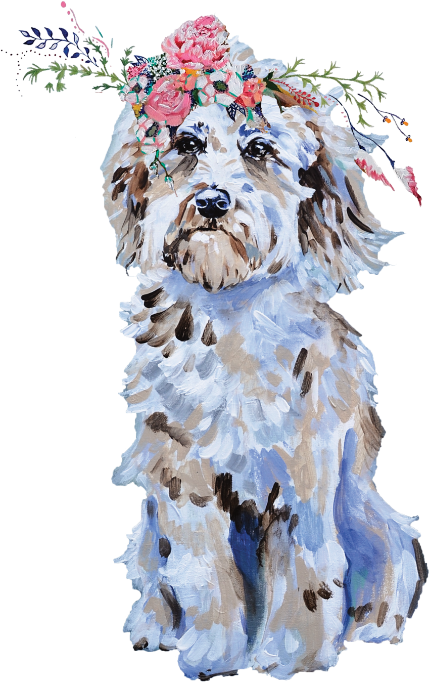 Yorkshire Terrier (1000x2000), Png Download