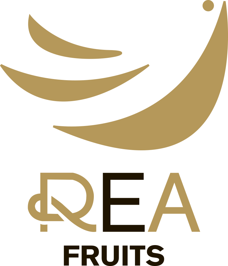 Clip Art (797x929), Png Download