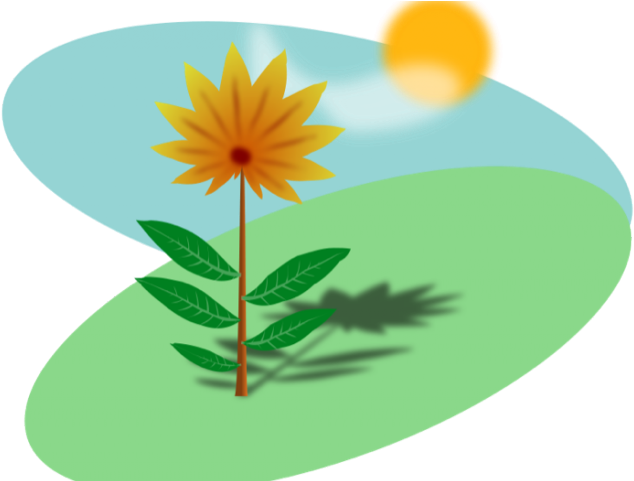 Sunshine Clipart Summer - Clipart Sunlight To Plants (640x480), Png Download