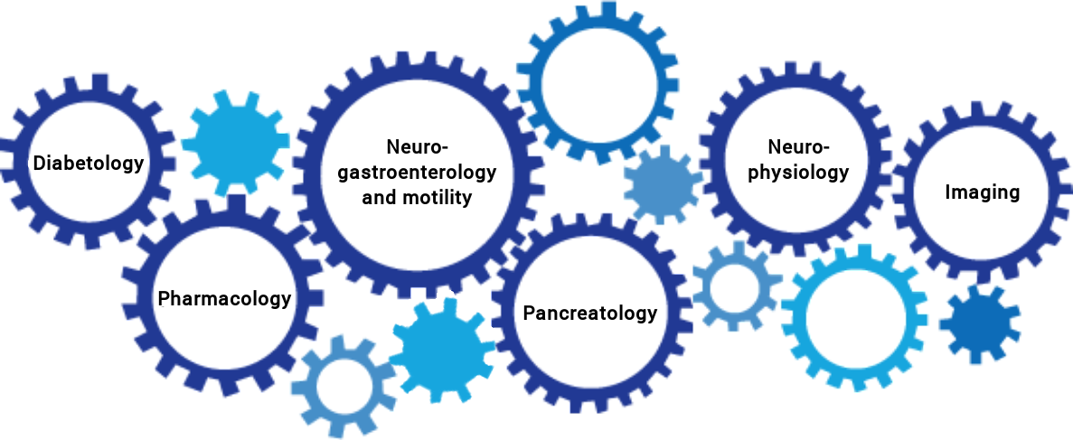 Circle (1187x487), Png Download