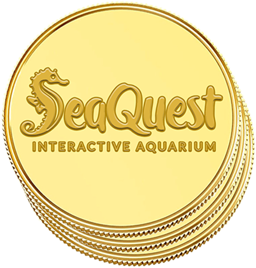 Sq Tokens - Circle (600x591), Png Download