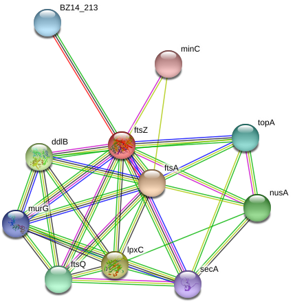 Ftsz Protein - Circle (975x475), Png Download