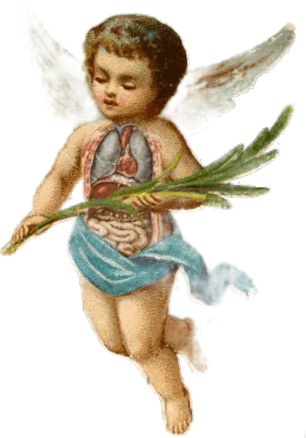 Cherub Sticker - Baby Boy Angels (1024x1466), Png Download