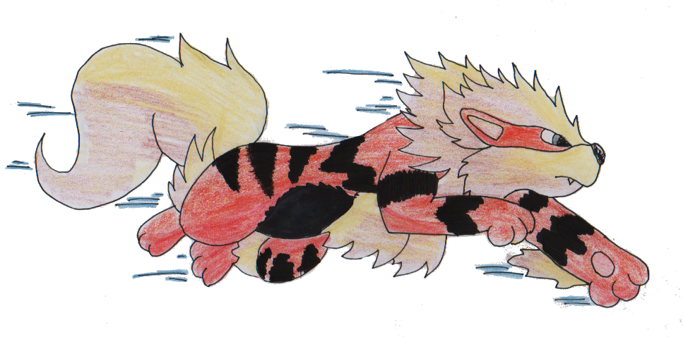 Magmar, Camerupt And Random Fire Trainer - Illustration (993x482), Png Download