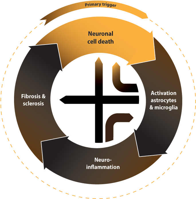 Cerebro's Approach - Circle (696x731), Png Download