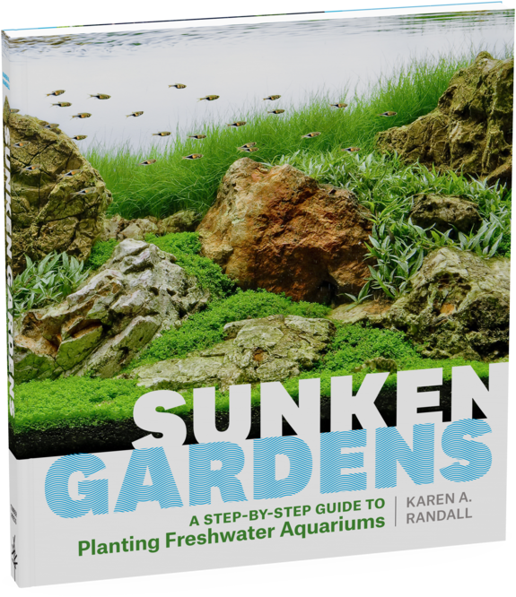 Sunken Gardens, A Step By Step Guide To Planting Freshwater - Sunken Garden Pdf (1000x1000), Png Download