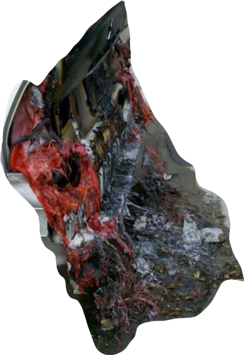 Car Sex Accident (480x698), Png Download