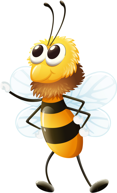 Borboletas & Joaninhas E Etc - Bee (485x800), Png Download