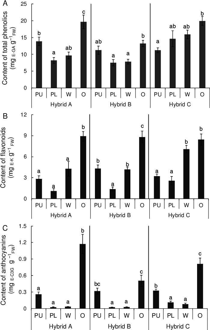 Content Of Total Phenolics , Fl Avonoids (b) And Anthocyanins - Illustration (706x1103), Png Download