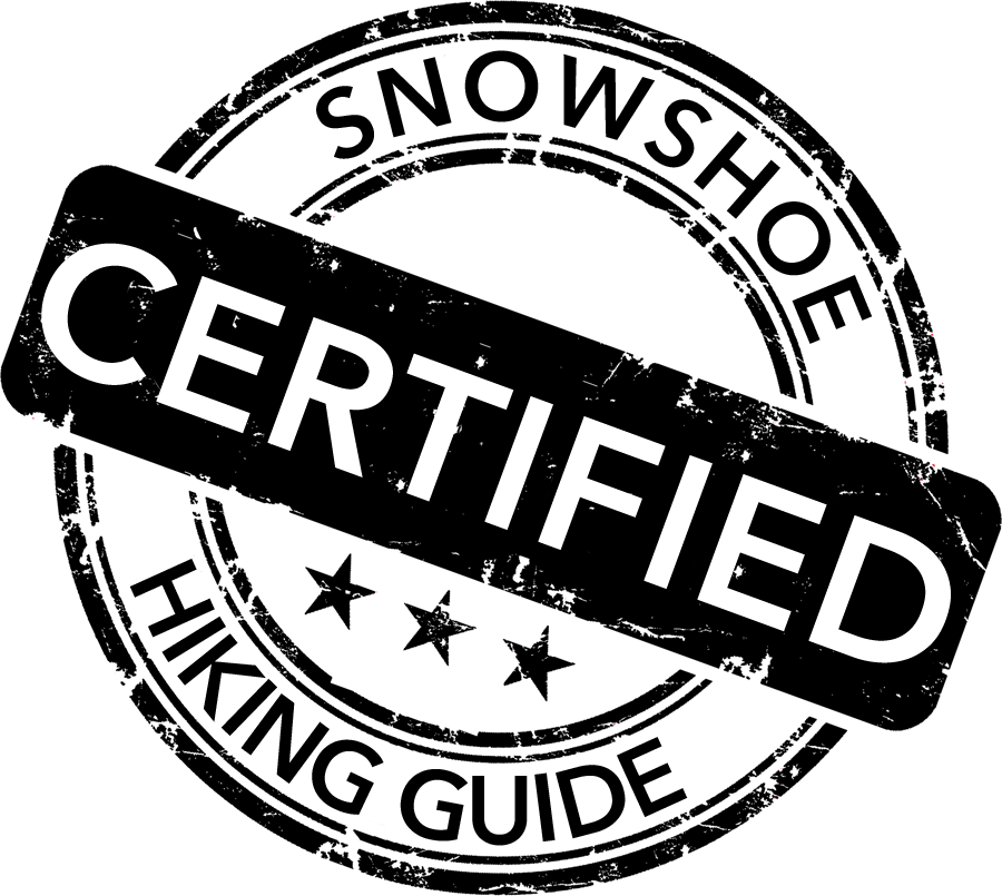 Qualification - Label (900x805), Png Download