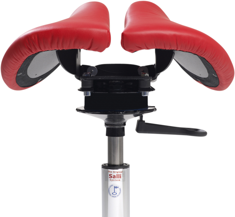 Salli Swing - Rear View - Salli Swing (1024x835), Png Download