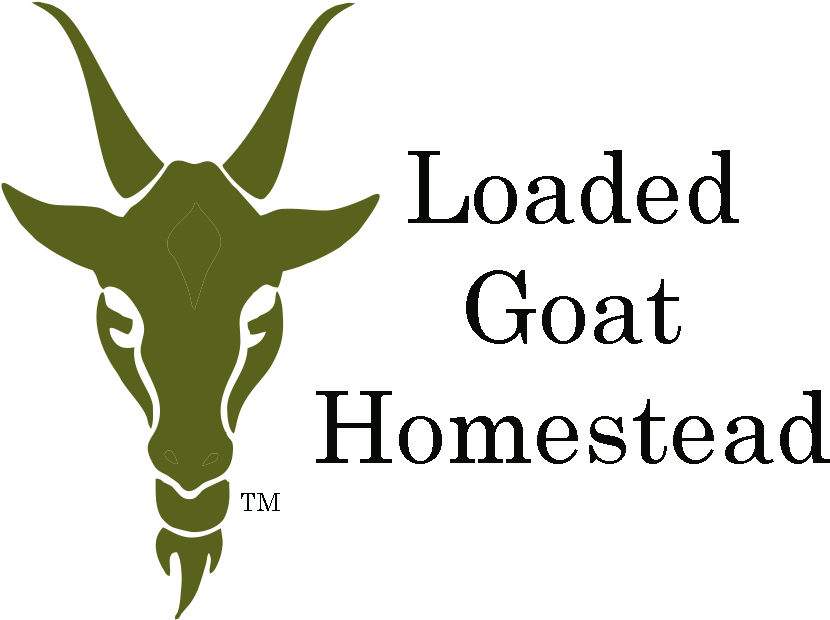 Antelope (939x632), Png Download