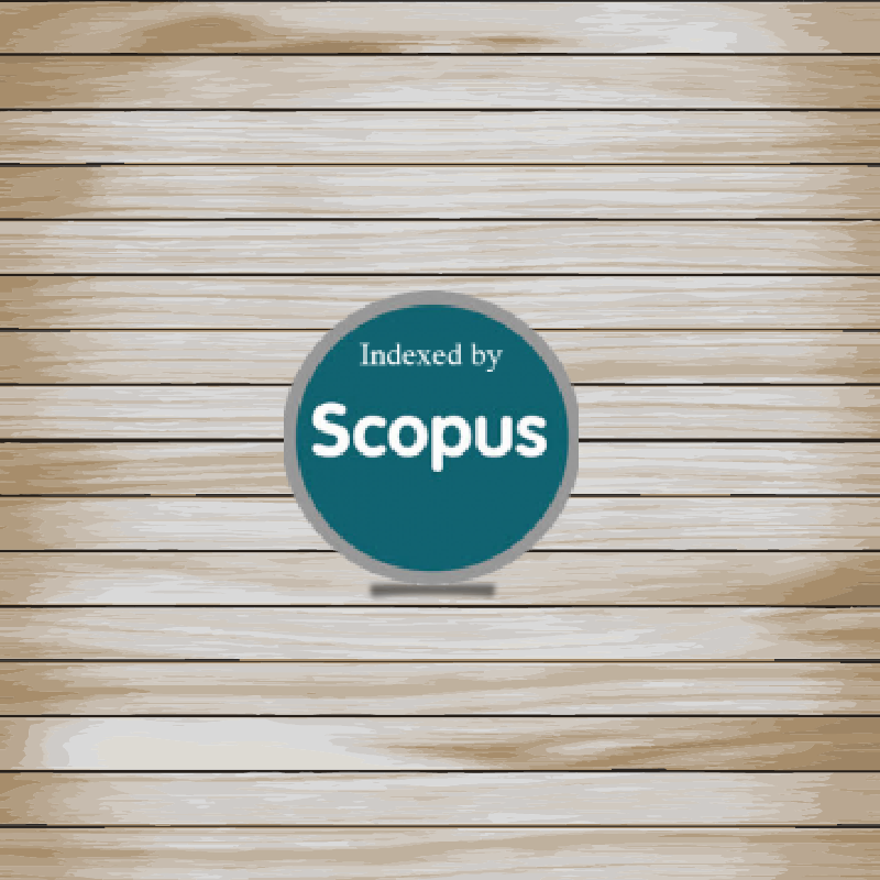 Additional Scopus Paper - Guarda Mirim (800x800), Png Download