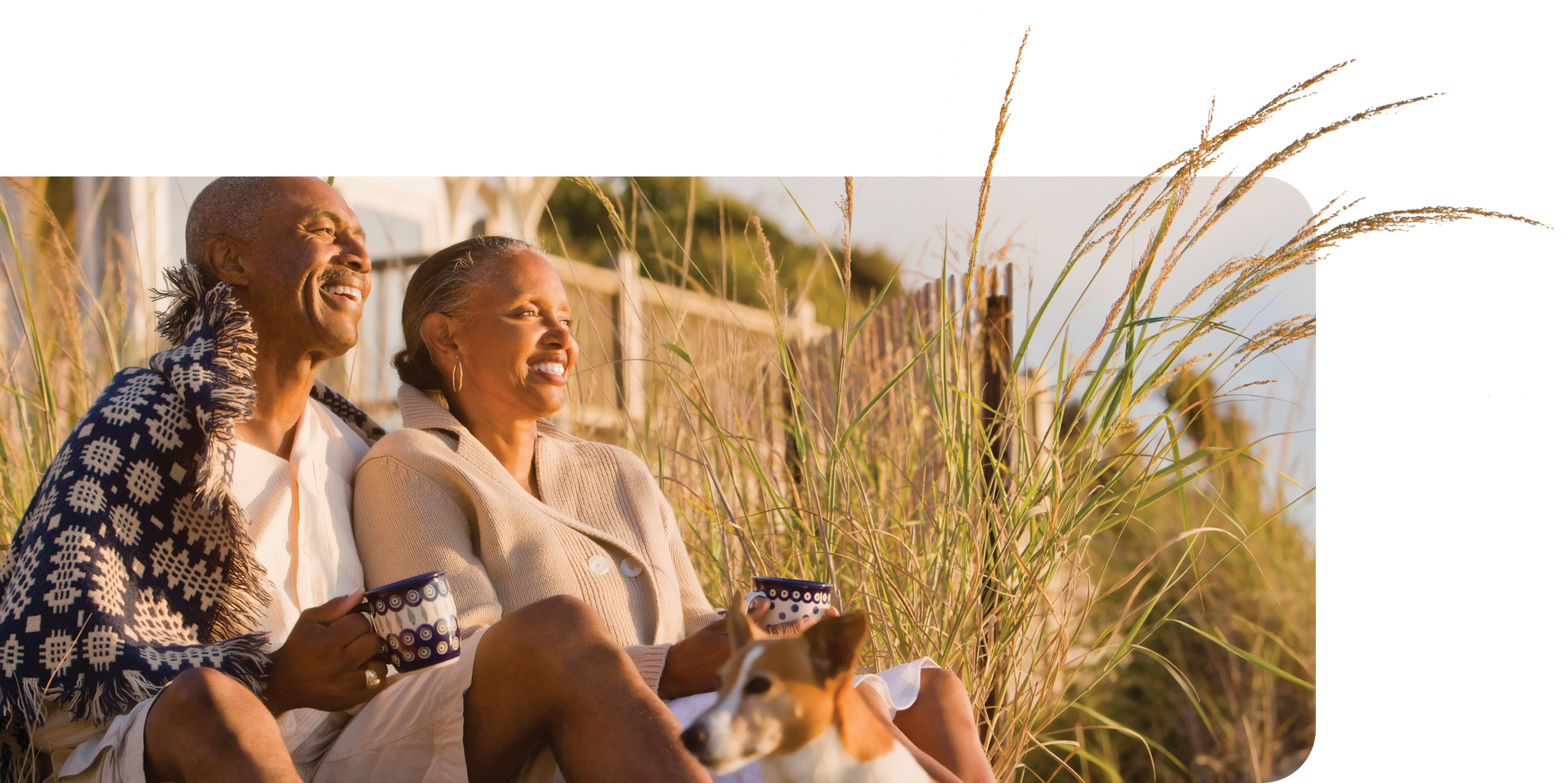 Linx Worked With Adp's Brand Management Team To Create - Grass (2276x1136), Png Download