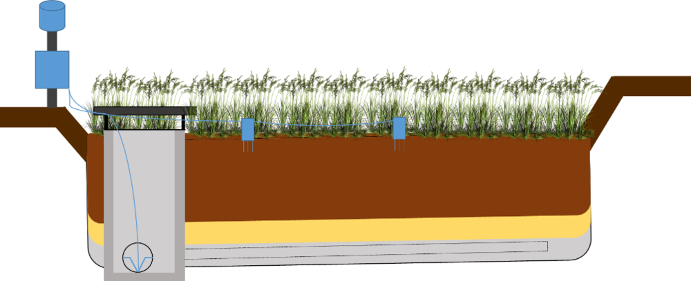 Bioretention - Grass (1000x407), Png Download