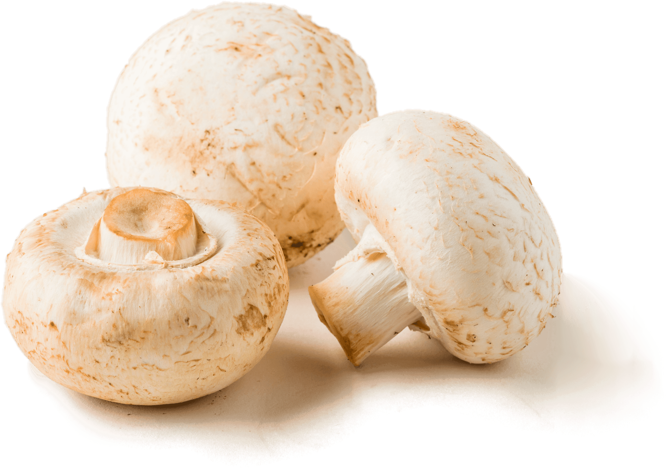 Braised Mushrooms - Champignon Mushroom (2351x1881), Png Download